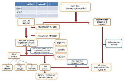 Identification of genetic molecular markers and immune infiltration characteristics of Alzheimer's disease through weighted gene co-expression network analysis